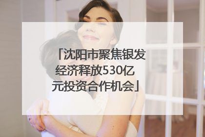 沈阳市聚焦银发经济释放530亿元投资合作机会